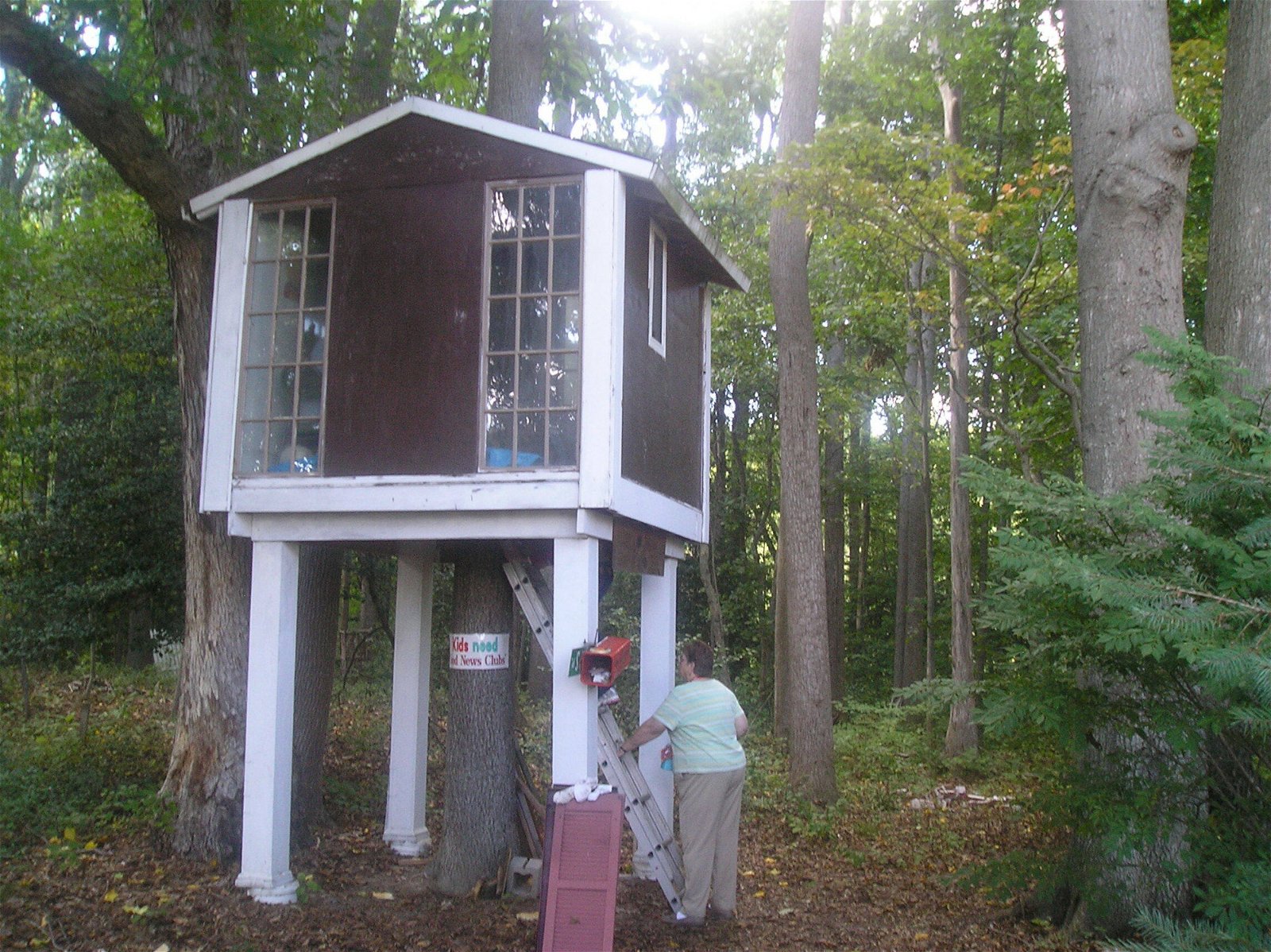 Brown and white treehouse with windows and a mailbox